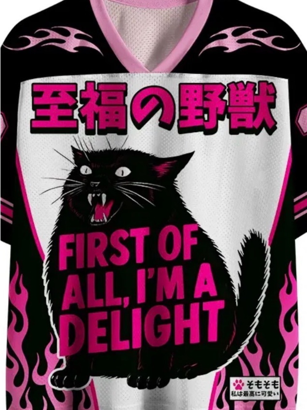 Tokyo Tiger Mesh Jersey Pink & Black Graphic - 'First of All, I'm a Delight' L